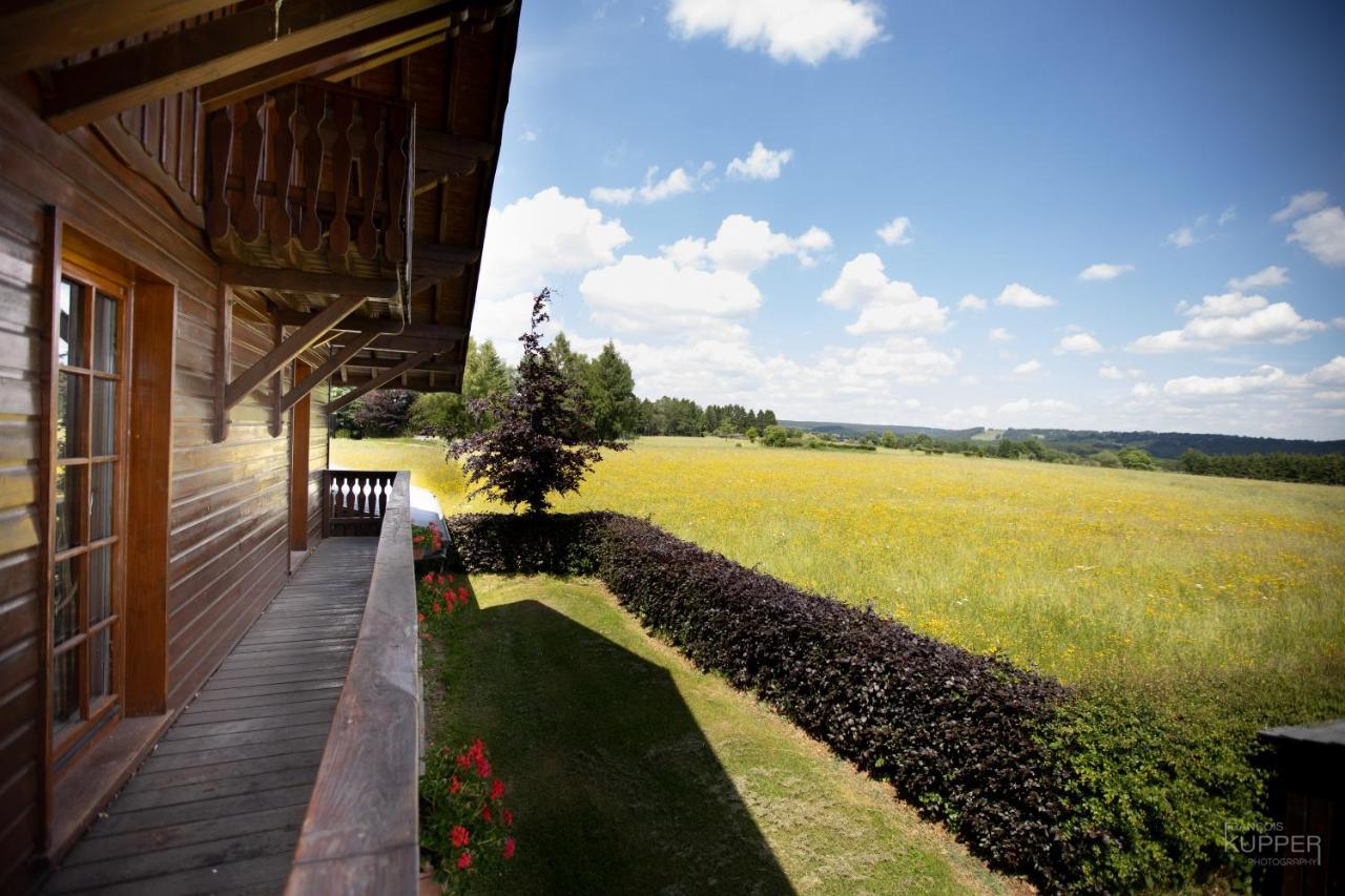Le Gagnage 31 Pers- Malmedy, Rustique, Vue, Wellness Villa Eksteriør billede