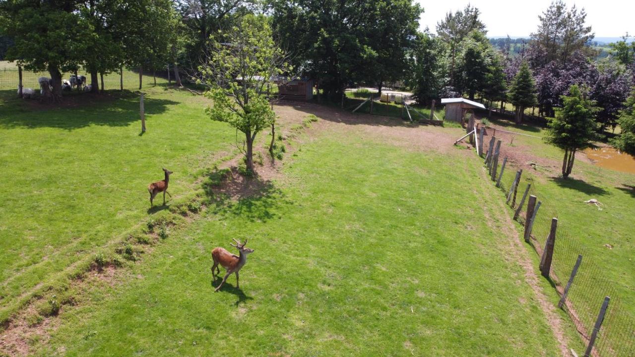 Le Gagnage 31 Pers- Malmedy, Rustique, Vue, Wellness Villa Eksteriør billede