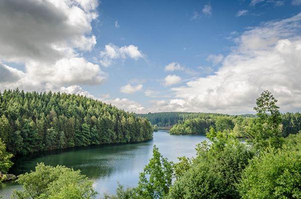 Le Gagnage 31 Pers- Malmedy, Rustique, Vue, Wellness Villa Eksteriør billede