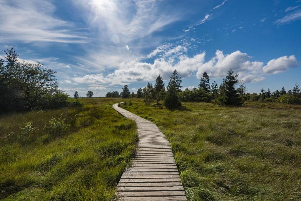 Le Gagnage 31 Pers- Malmedy, Rustique, Vue, Wellness Villa Eksteriør billede